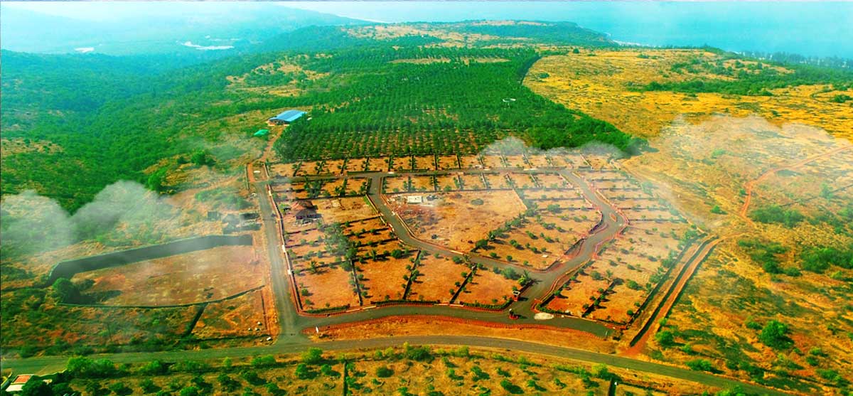 Bungalow Plot